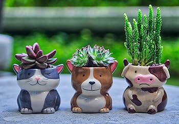 Amazon.com: Matty's Garden Animal Ceramic Succulent Planters Set .