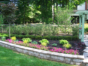 Retaining Wall vs. Garden Wa