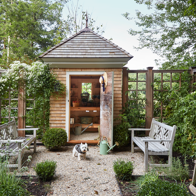 Creative Garden Shed Ideas for Your Backyard Oasis