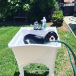 Outdoor Garden Sink Supply List — Dirt Farmer J