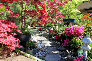 Stepping Stones and Pathways: Japanese Garden Desi