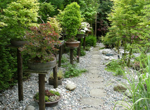 Stepping Stones and Pathways: Japanese Garden Desi