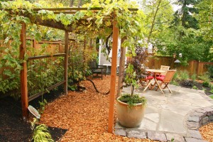 Arbors and Pergolas Add Charm to Your Landscape Desi