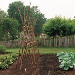 Three Garden Structures You Can Build - FineGardeni