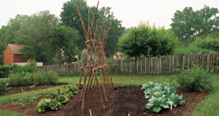 Three Garden Structures You Can Build - FineGardeni