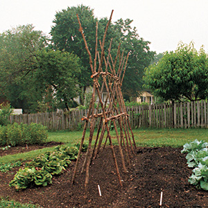 Three Garden Structures You Can Build - FineGardeni