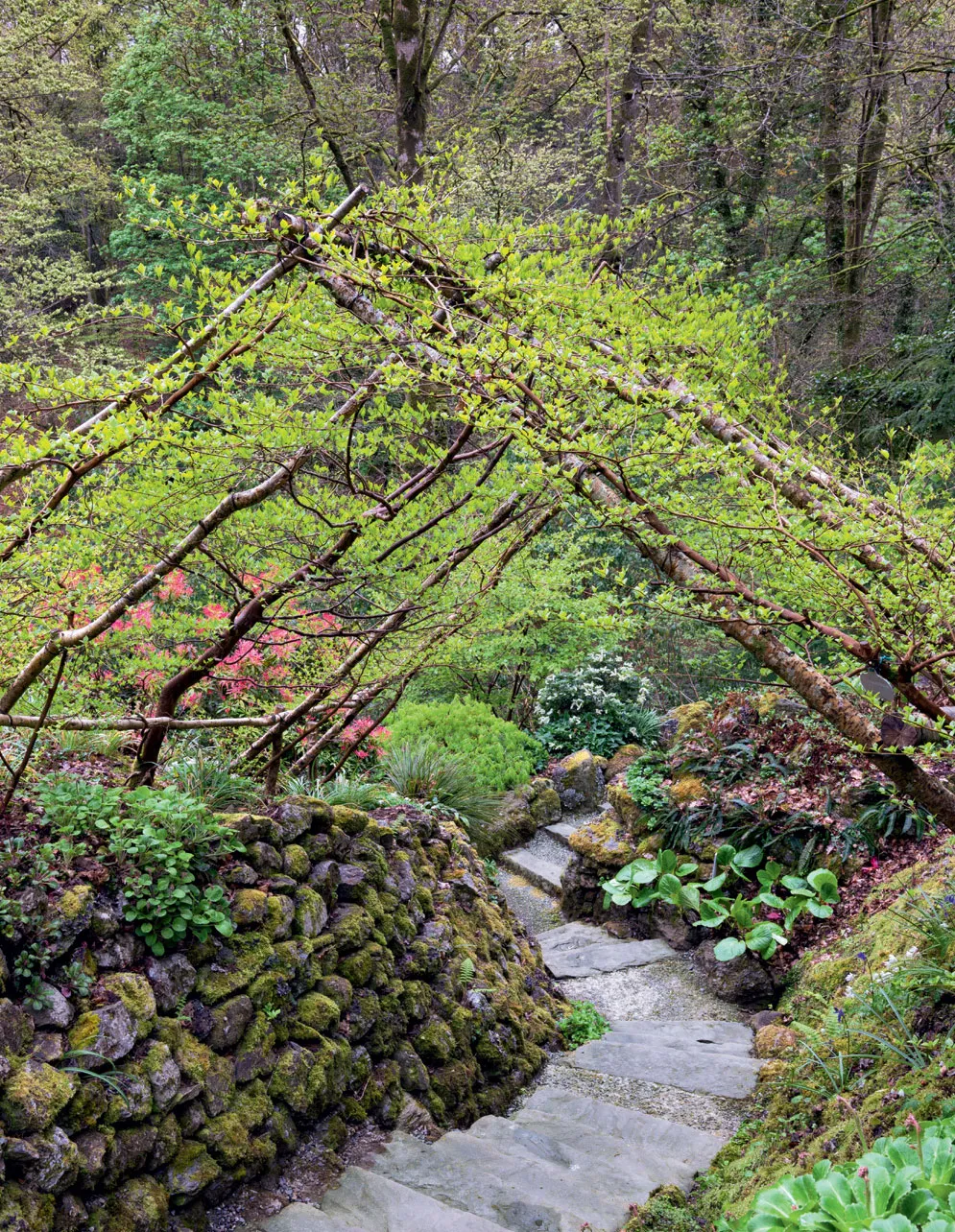 Enhancing Your Outdoor Space with
Beautiful Garden Structures