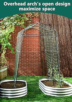 Amazon.com : SUMGROW Garden Arch Trellis for Climbing Plants .