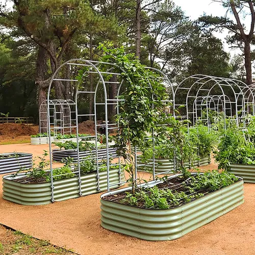 The Benefits of Using Garden Trellises: A Complete Guide