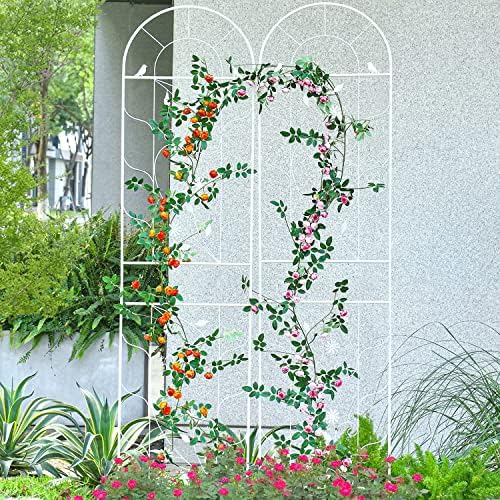 Amazon.com : Sungmor Large Metal Garden Trellises for Climbing .