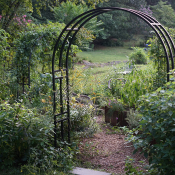 Garden Trellis