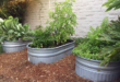 Easy Gardening With Garden Troughs! - Gill Garden Center + .