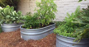 Easy Gardening With Garden Troughs! - Gill Garden Center + .