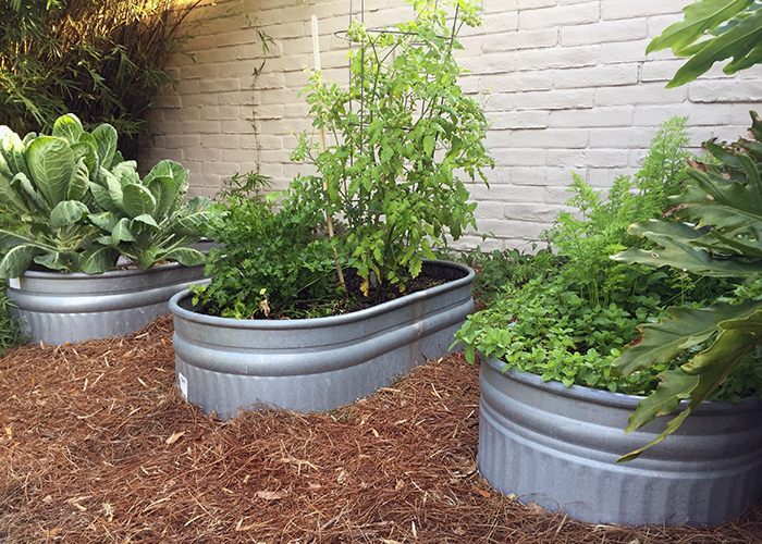The Beauty of Garden Troughs: How to Choose the Right One for Your Space