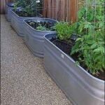 11 Horse trough planting ideas | container gardening, garden .