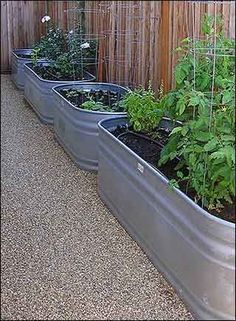 11 Horse trough planting ideas | container gardening, garden .