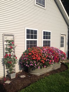 11 Horse trough planting ideas | container gardening, garden .