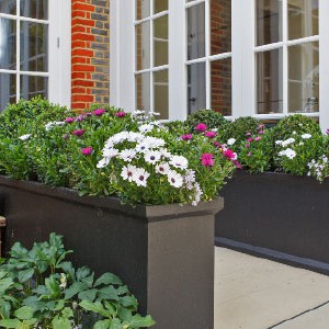 Capital Garden Products - fibreglass pots, tubs, planters, troughs .