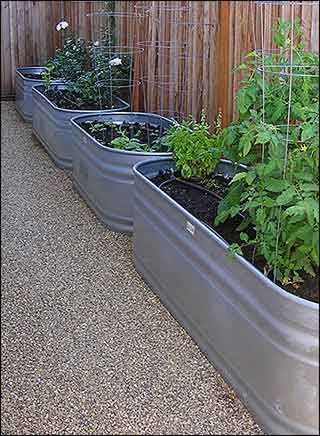 Pin by DK Design on Fun n Sun 2022 | Garden troughs, Veggie garden .