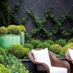 15 Best Outdoor wall paint ideas | backyard, outdoor gardens .