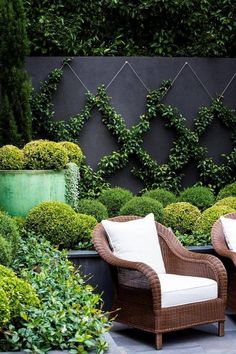 15 Best Outdoor wall paint ideas | backyard, outdoor gardens .