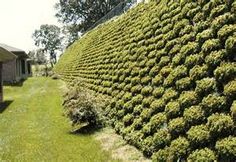 44 Inexpensive retaining walls ideas | retaining wall, backyard .