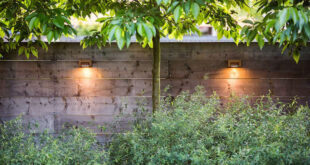 Hardscaping 101: Outdoor Wall Lights - Gardenis