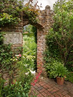 410 Best Garden Walls ideas | garden, garden design, garden wa