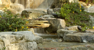 Garden Waterfalls & Design Styl