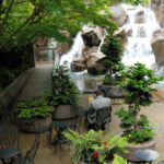 Waterfall Garden Park | Pioneer Squa
