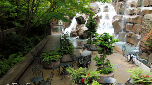 Waterfall Garden Park | Pioneer Squa