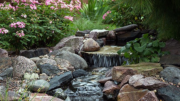 8 Tips for Building a Backyard Waterfall (2024) | Today's Homeown