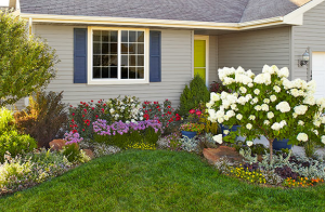 Landscape Ideas In Anchorage AK | Faltz Landscaping & Nurse