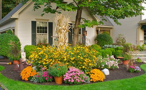 Fall Gardening Ideas | Garden Desi