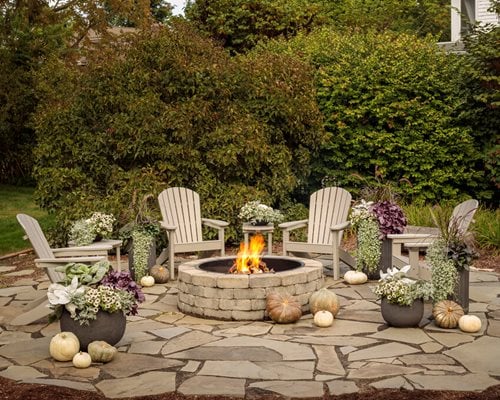 Creative Gardening Ideas to Revamp Your Outdoor Space