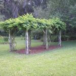 How to Build a Sturdy Grape Arbor | eHow | Garden vines, Grape .