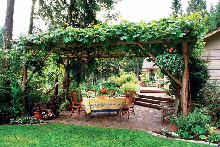 21 Best Patio Grape Arbor Decor Ideas | Backyard pergola, Backyard .