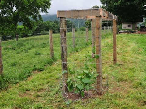 Building a Grape Arbor - YouTu