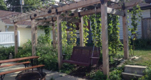Backyard Grape Arbors for the Home Winemaker or Gardener - OZCO .
