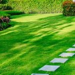 Landscape Design | Raleigh & Wilmington | Barefoot Lawn Ca