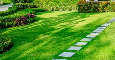 Landscape Design | Raleigh & Wilmington | Barefoot Lawn Ca