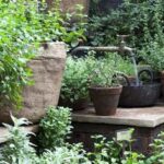 39 Best Container herb garden ideas | garden, herb garden .