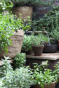 39 Best Container herb garden ideas | garden, herb garden .