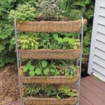 Clever Vertical Herb Gardens for Small Spac