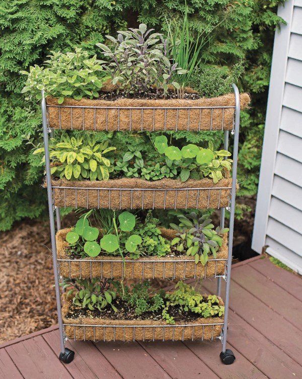 Clever Vertical Herb Gardens for Small Spac