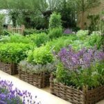 100 Best Outdoor - Herb Garden ideas | herb garden, outdoor herb .