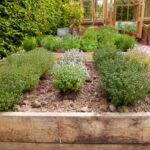 How to Create a Herb Garden | BBC Gardeners World Magazi