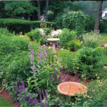 An Herb Garden in Three Parts - FineGardeni