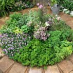 Landscaping and Hardscaping | Herb garden design, Small herb .