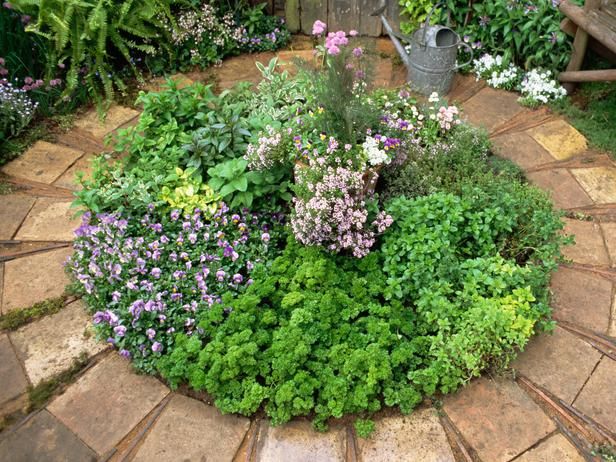 Landscaping and Hardscaping | Herb garden design, Small herb .